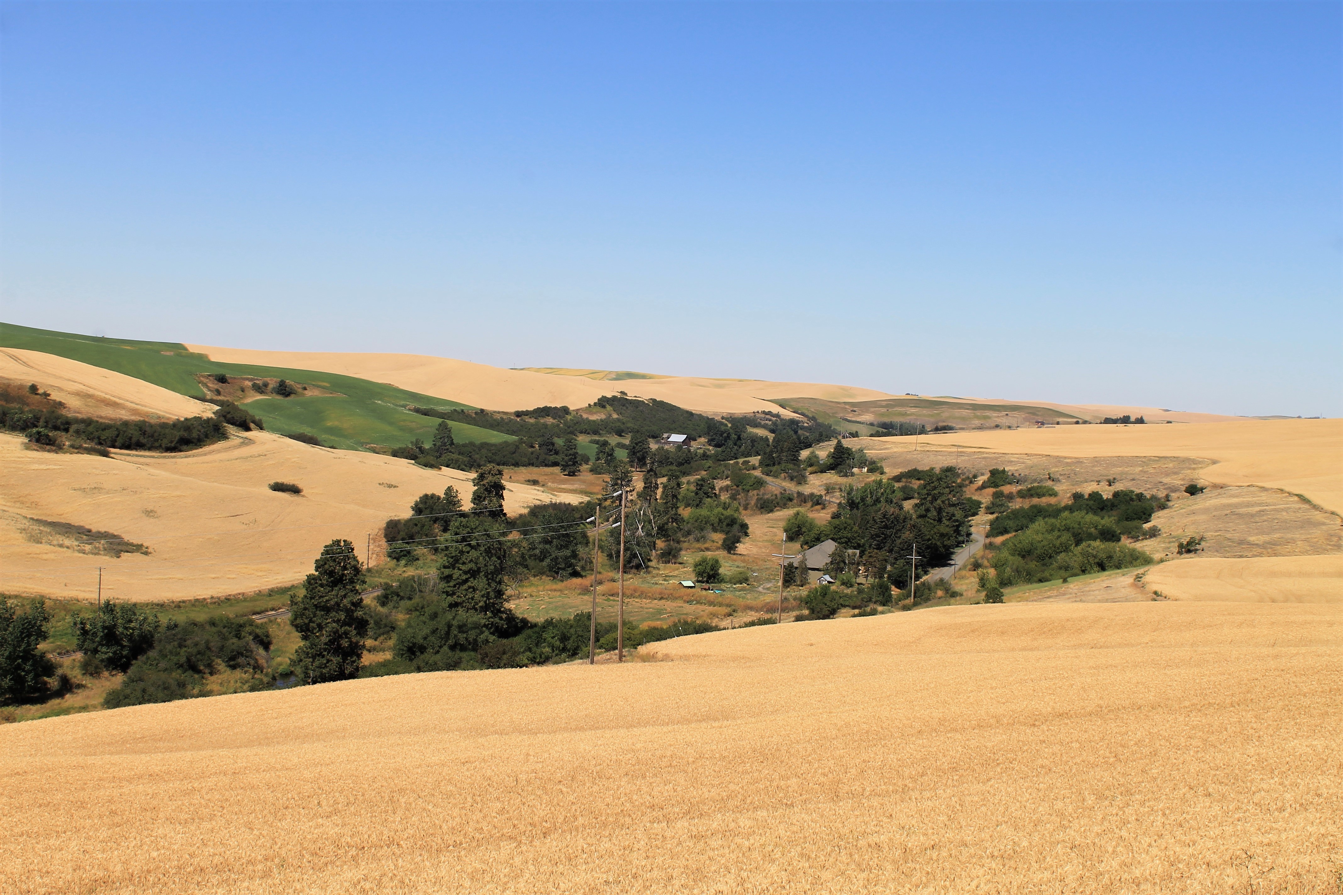 Agricultural landscape background